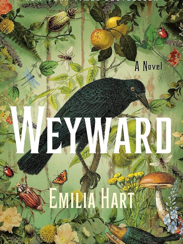 The Outsiders’ Book Club: Weyward by Emilia&nbsp;Hart